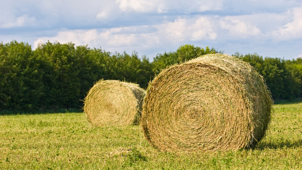 Find Hay Utah Department of Agriculture and Food