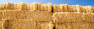 Stacks of hay bales with blue sky in the background