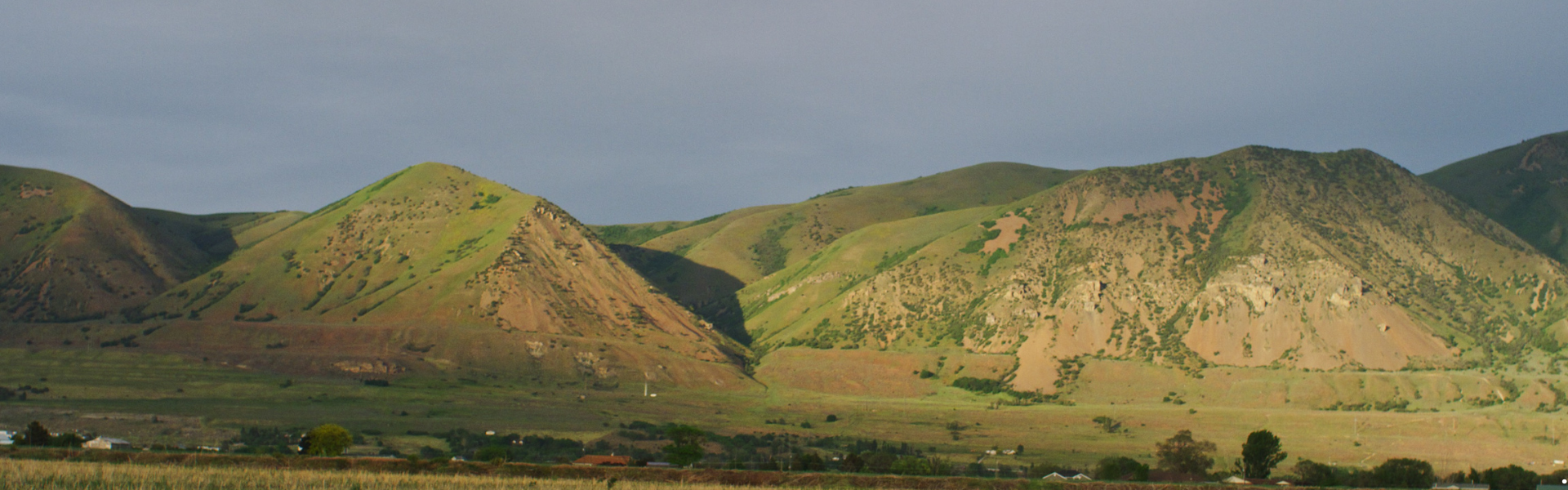 field in front of mountain