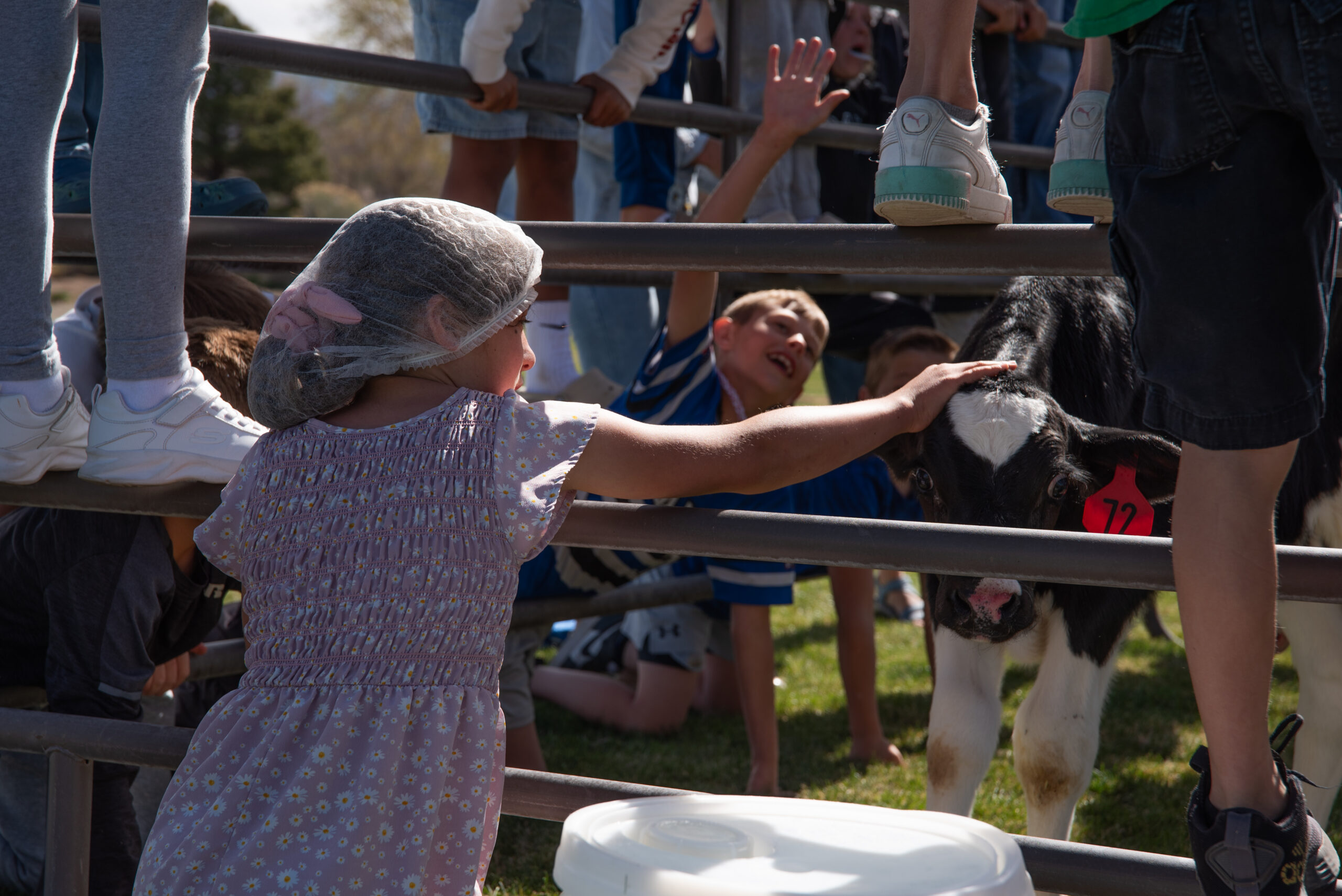Featured image for “Farm-to-School Month Brings Celebration & Education From Field to Classroom”