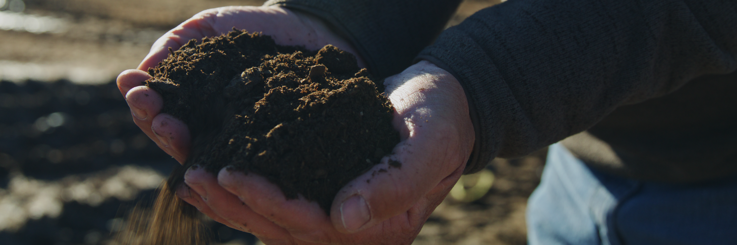 Featured image for “UDAF’s Emergency Disaster Relief Loan Funds Open to Drought-Affected Producers”