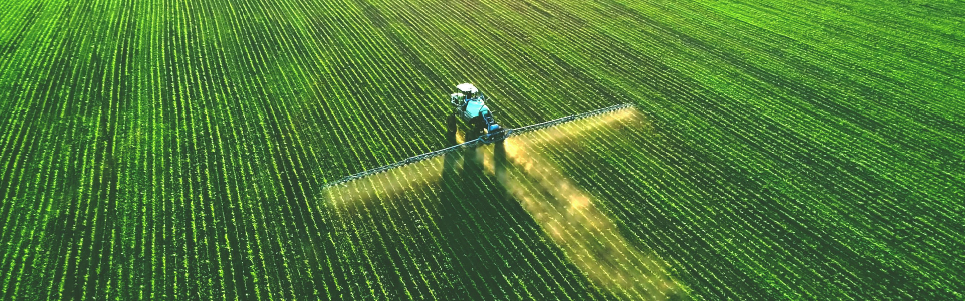 a drone shot of a tractor driving through rows of crops spraying liquid across them