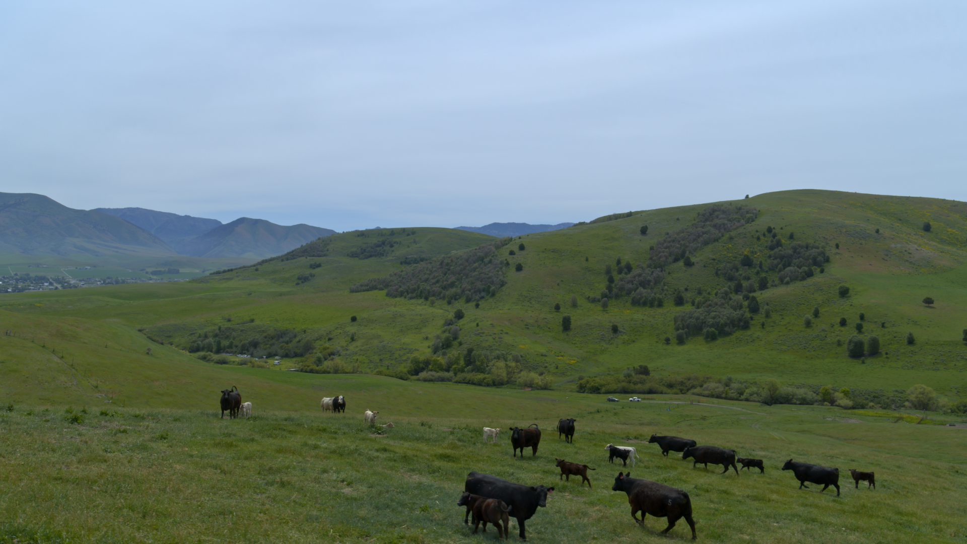 Featured image for “Utah Department of Agriculture and Food Announces Streamlined Application Process and 2026 Funding Cycle for LeRay McAllister Working Farm and Ranch Fund”