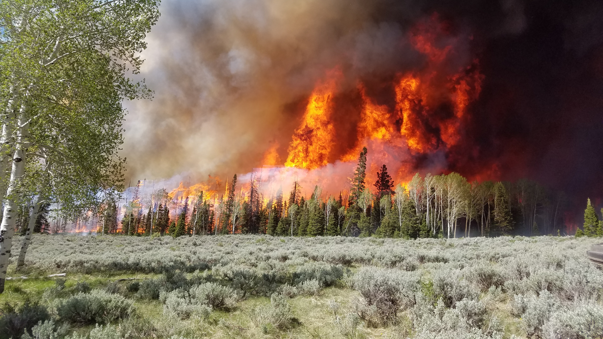Featured image for “Wildfires Deepen Challenges Facing Utah Agriculture; UDAF Resources Available to Help”