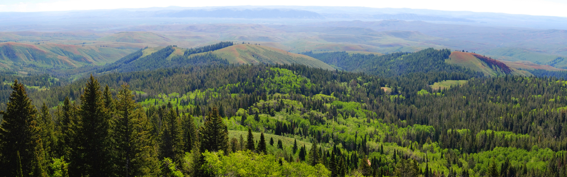 An overhead view of a large valley with varied colors of trees and rolling hills