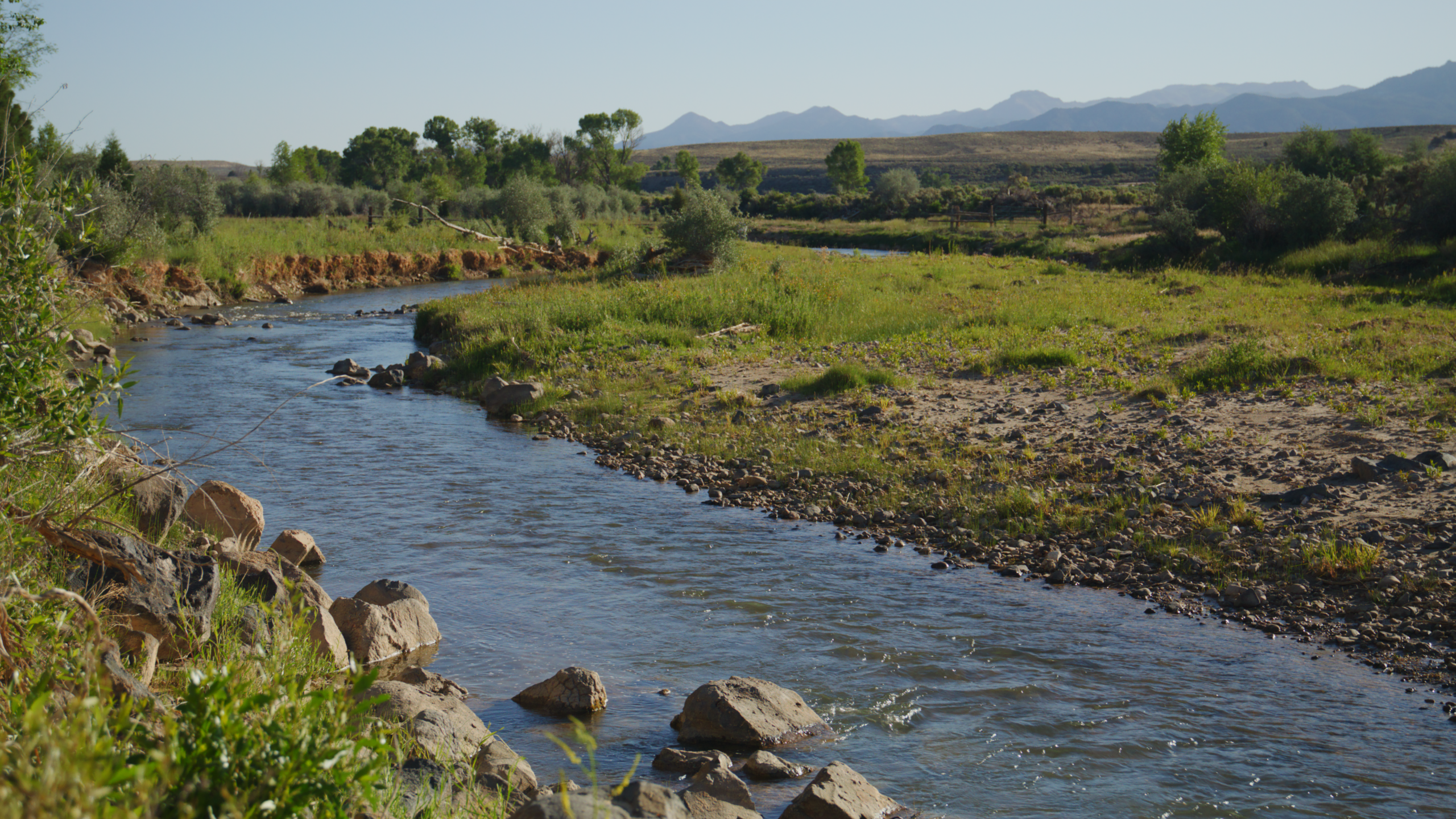 a small and low, but healthy, stream runs through a grassy and rocky field