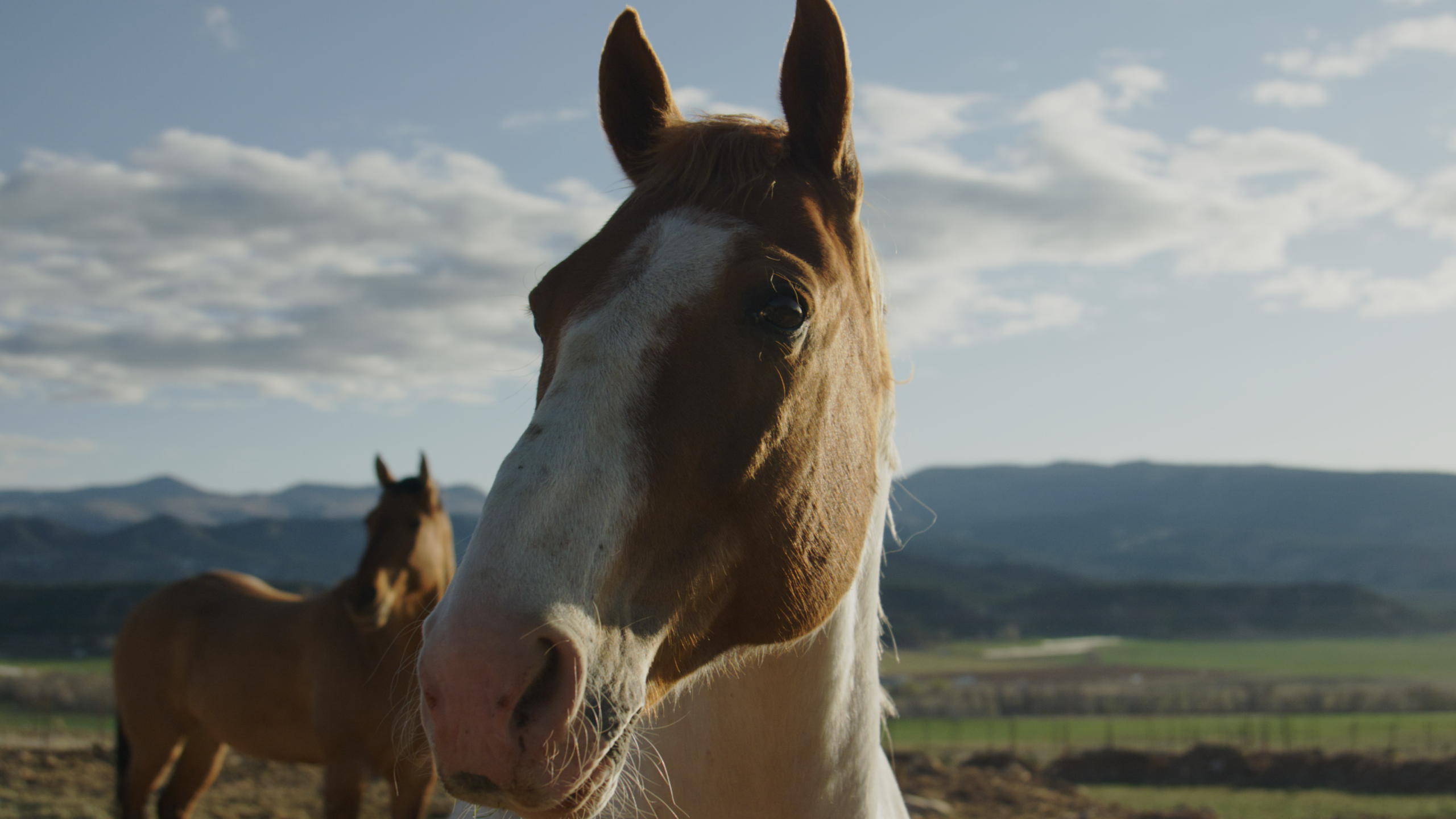 a close up shot of a brown and white horse's face with another brown horse, mountains, and a cloudy sky in the background