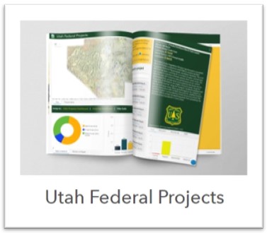 thumbnail of the Utah Federal Project final print