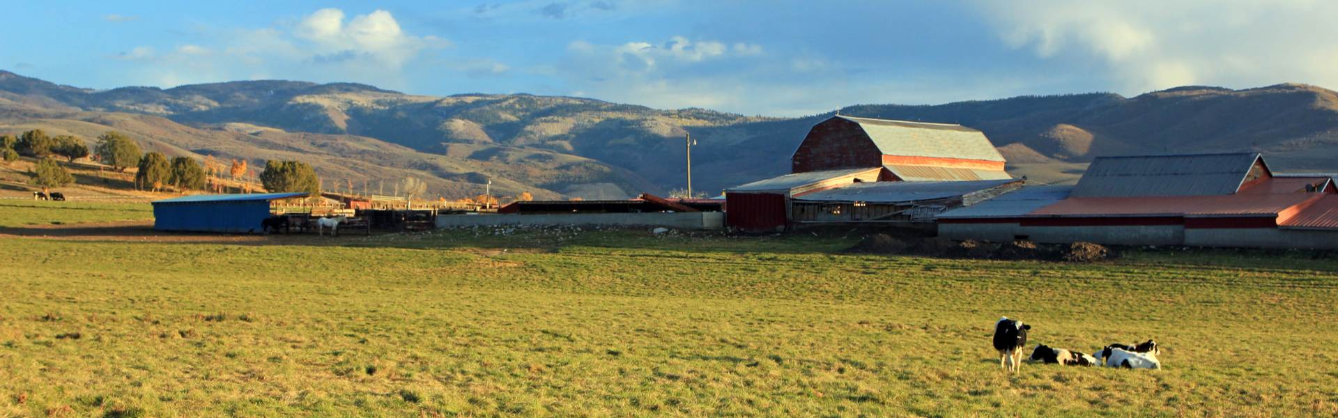 Panoramic landscape of a mountain farm with a red barn and grazing cattle