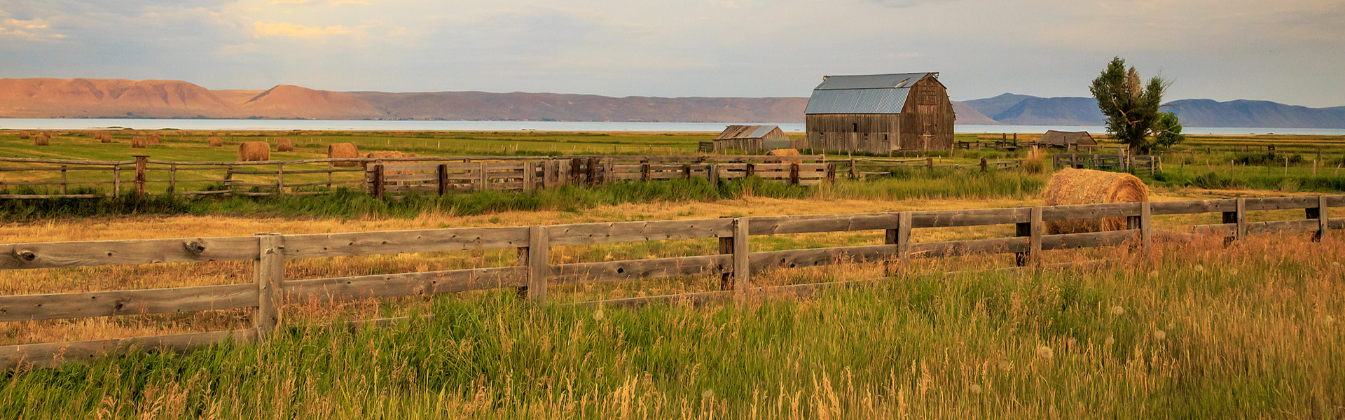 a gold and green scene of farmland with a wooden fence running through it under a dusty blue sky