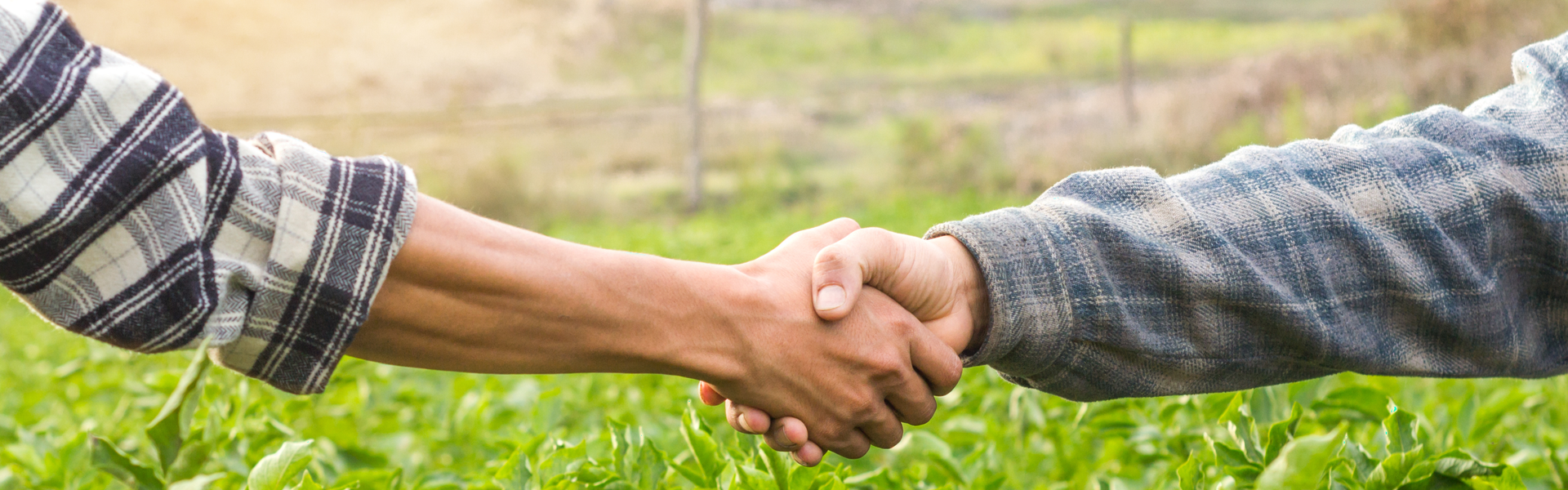 two farmers shaking hands over a field of crops