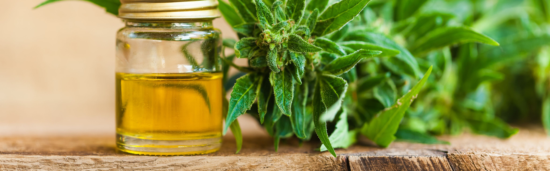 a jar of oil next to a marijuana plant laying on a wooden table