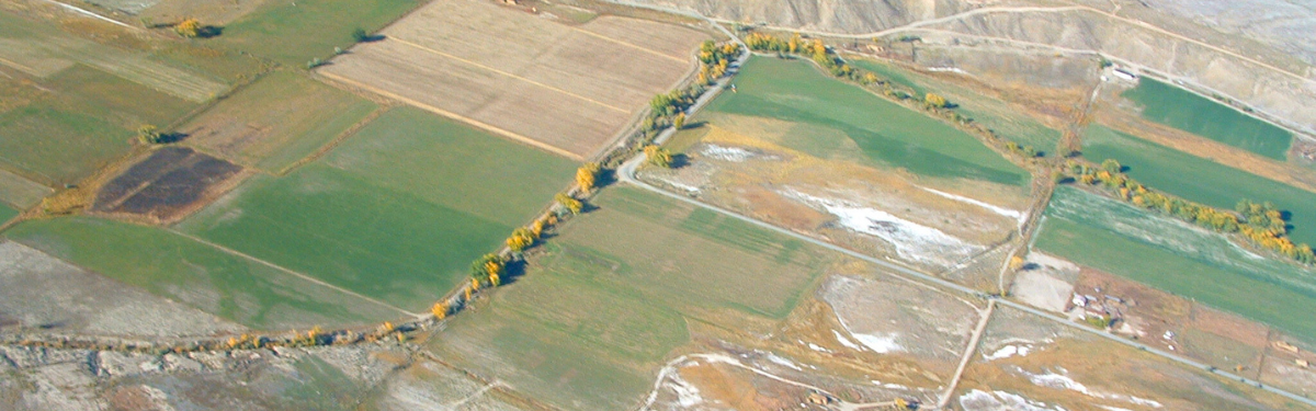 a drone shot of agricultural land
