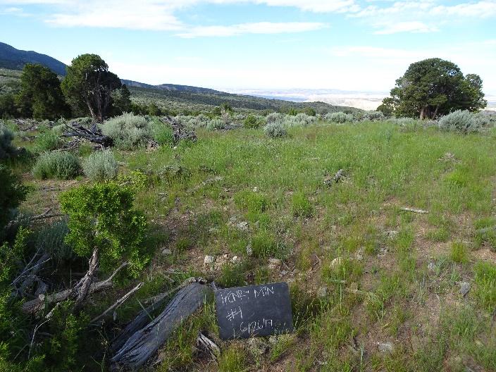 a dry grassy field with a black sign in the foreground reading HENRY MTN #4 6/26/19. the midground has some taller sagebrush and trees.