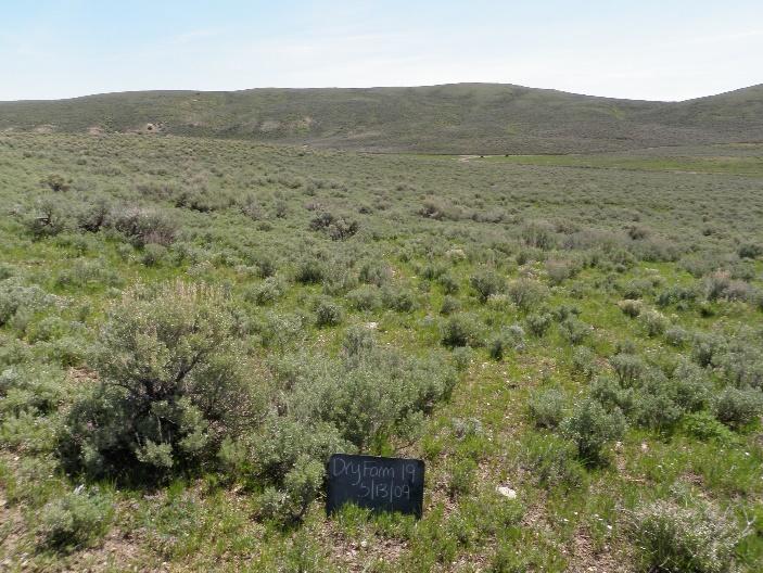 a grassy field with a black sign in the foreground reading DryForm 19 5/13/09 with a blue sky above