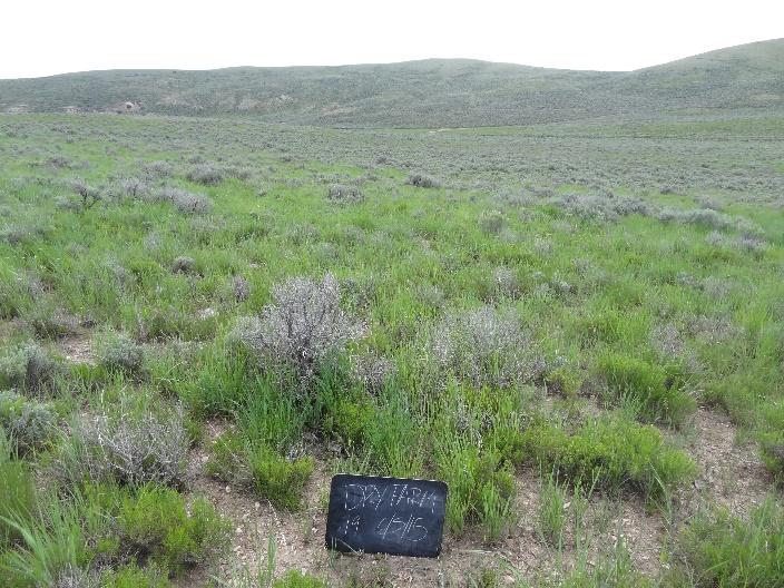 a grassy field with a black sign in the foreground reading DryForm 5/15 with a blue sky above