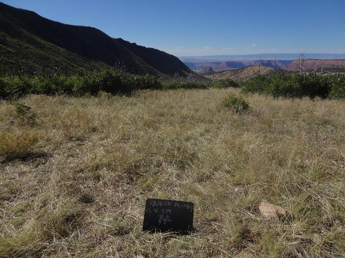 a dry grassy field with a black sign in the foreground with indistinguishable text and a dark hill in the midground and additional rolling, rocky hills in the background.