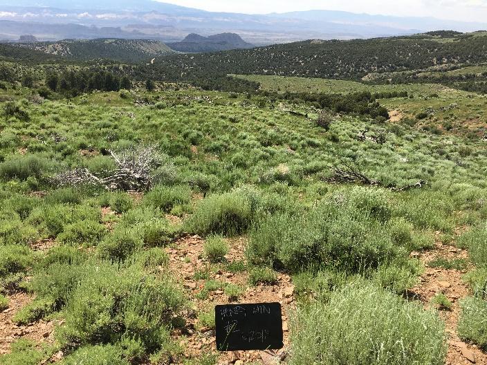 a dry grassy field with a black sign in the foreground reading HENRY MTN and an indistinguishable date. the midground has scattered dead trees and the background is dark green rolling hills.