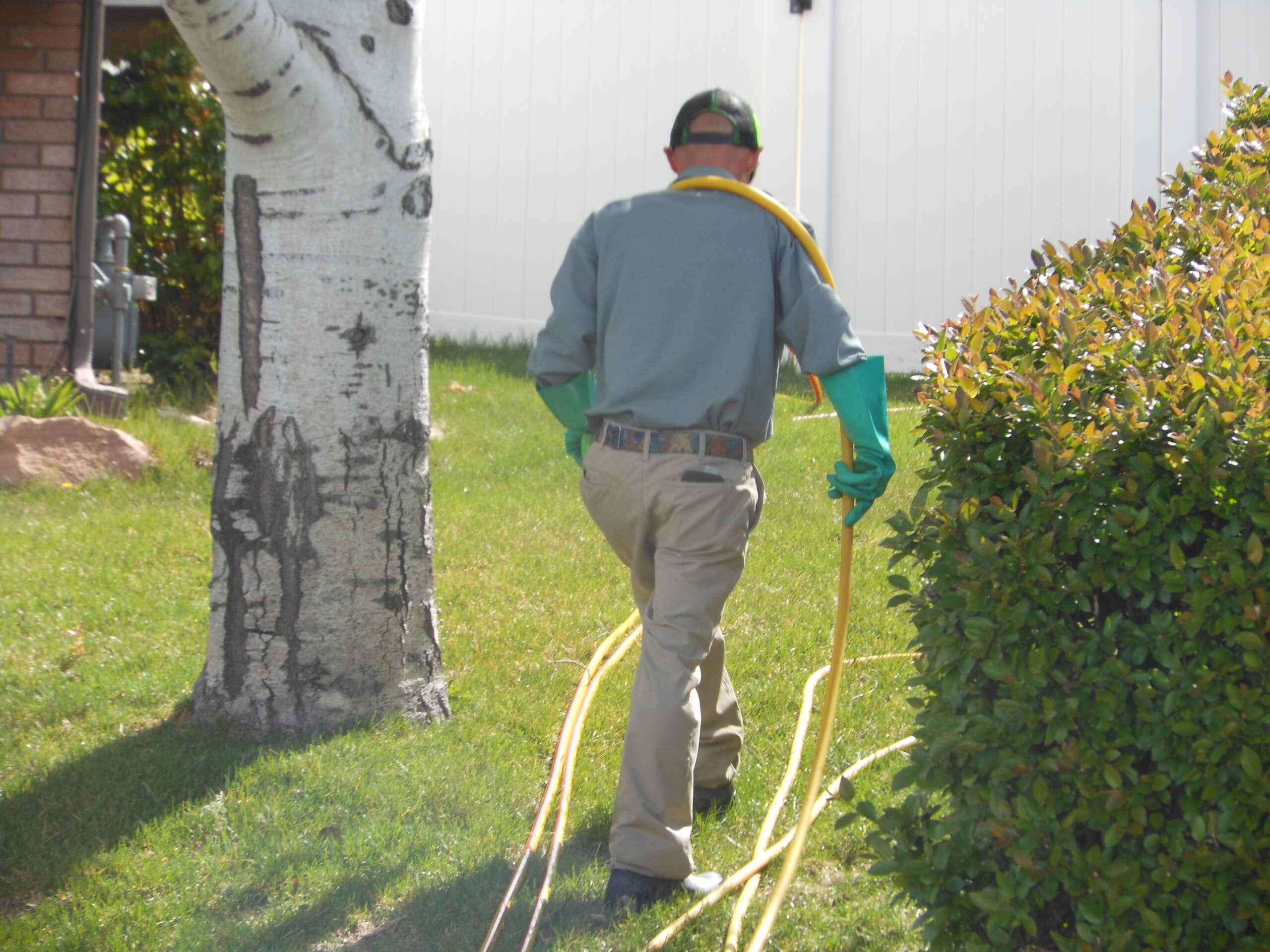 a pesticide applicator wearing green gloves walking across a lawn past a tree and a bush dragging a yellow hose