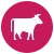 White cow icon with fuchsia circle behind it