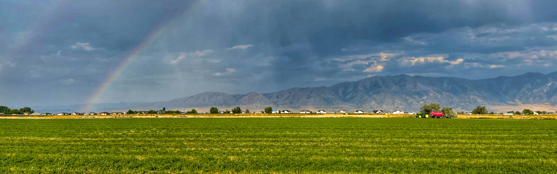 green field of crops in the foreground and mountains and a rainbow in the background